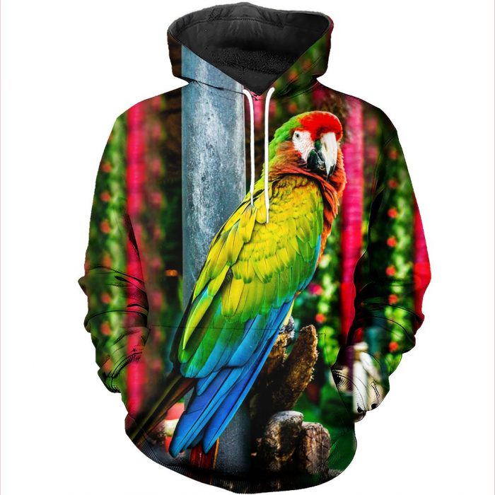 Limited Edition Hoodie 1 Limited Edition Hoodie