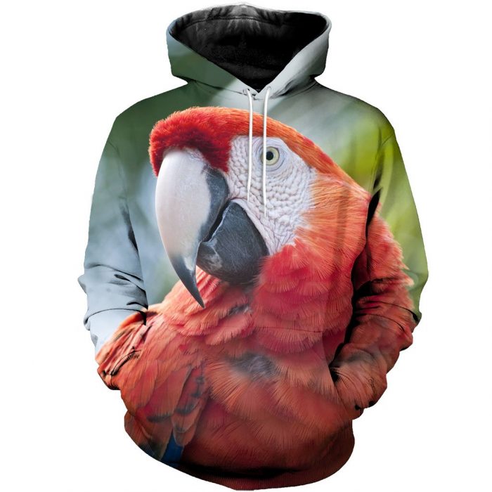 Limited Edition Hoodie 1 Limited Edition Hoodie